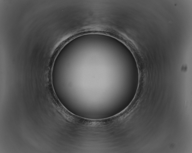 X0000091171166200708231458