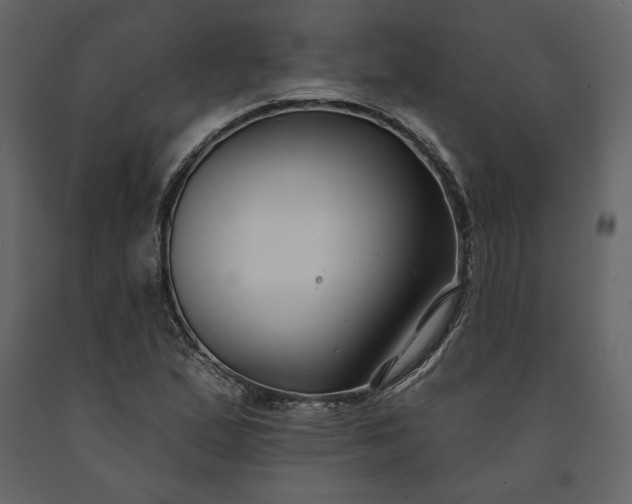 X0000091171167200708231458