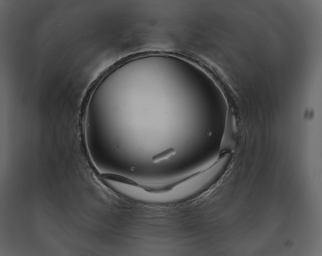 X0000091171168200708231458