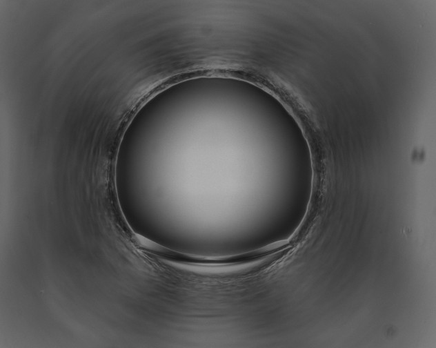 X0000091171169200708231458