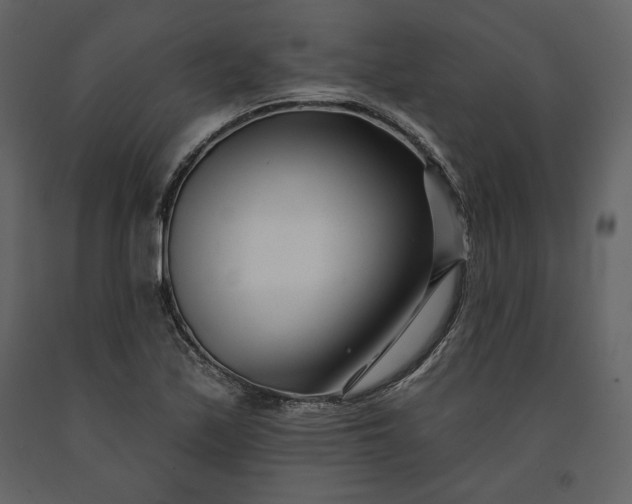 X0000091171171200708231458