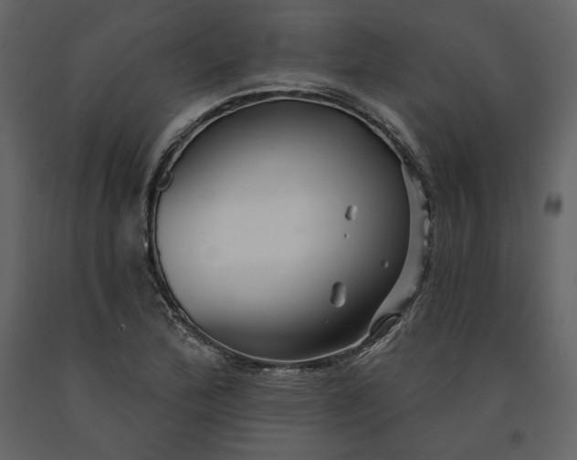 X0000091171172200708231458