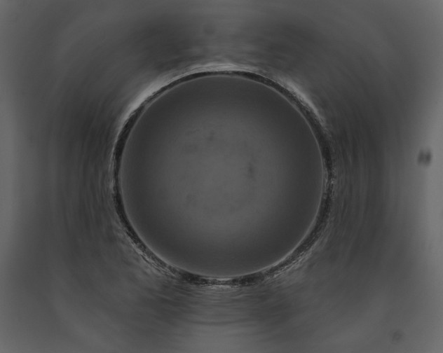 X0000091171173200708231458