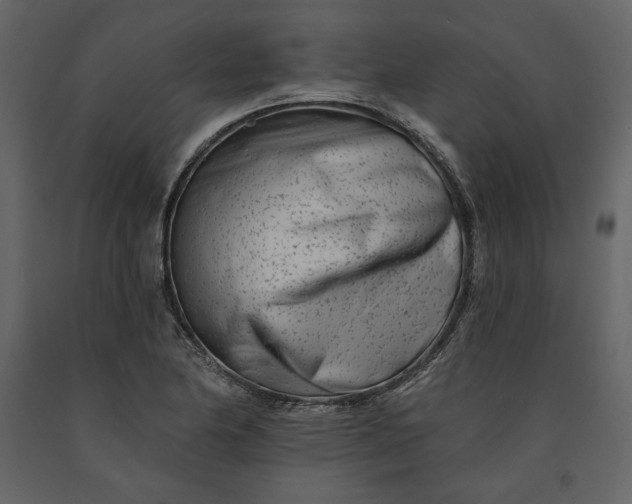 X0000091171174200708231458