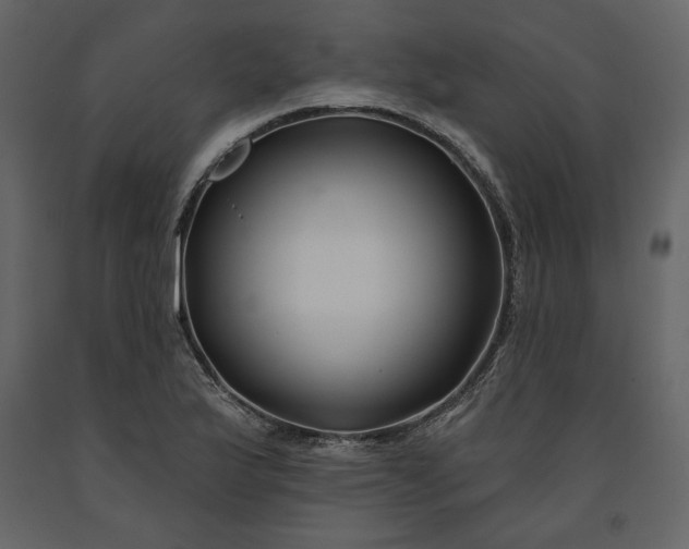 X0000091171175200708231458