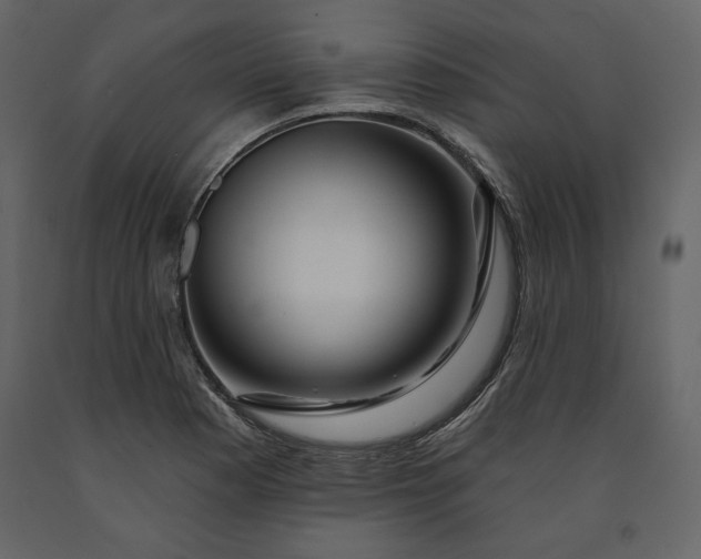 X0000091171177200708231458