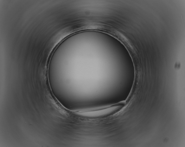 X0000091171178200708231458