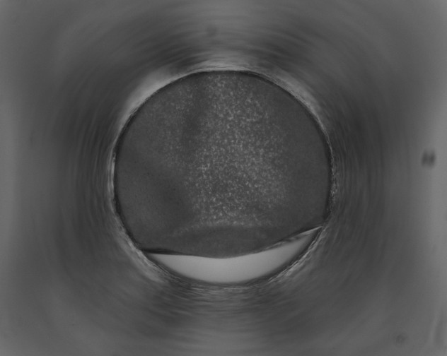 X0000091171179200708231458