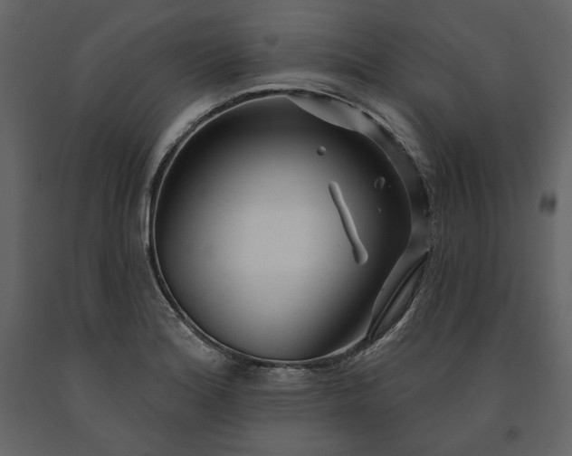 X0000091171180200708231458