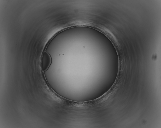 X0000091171182200708231458