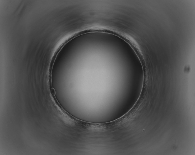 X0000091171183200708231458