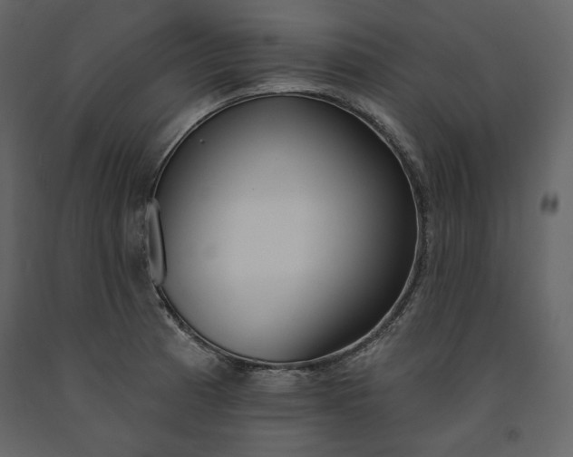 X0000091171185200708231458