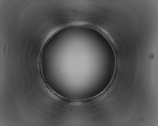 X0000091171186200708231458