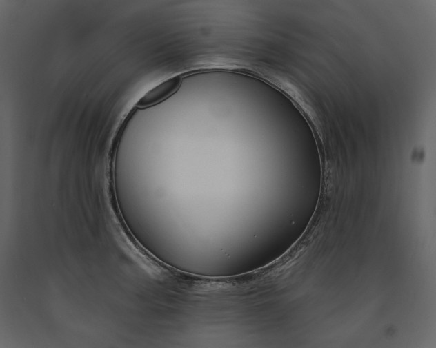 X0000091171187200708231458