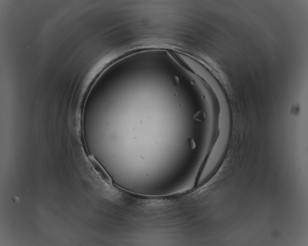 X0000091171188200708231458