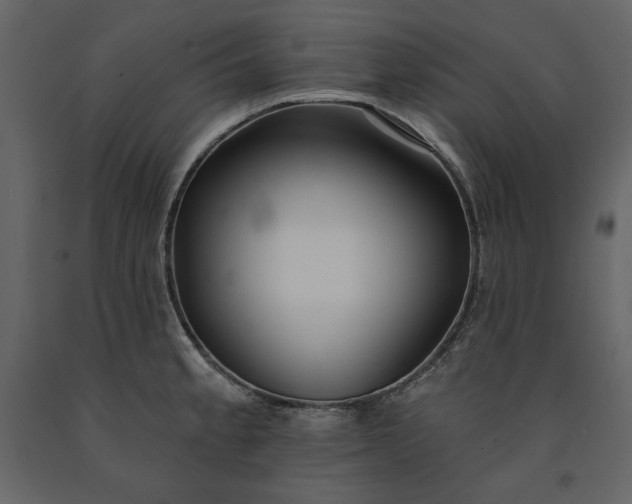 X0000091171189200708231458