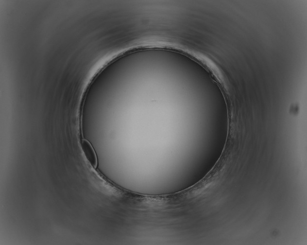 X0000091171191200708231458