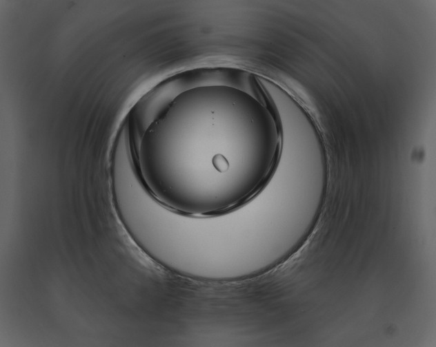 X0000091171192200708231458