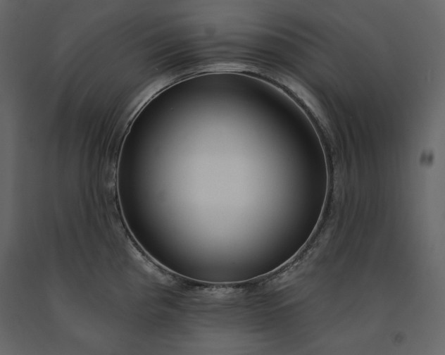 X0000091171193200708231458