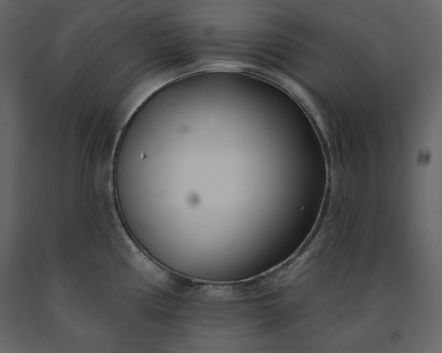 X0000091171194200708231458