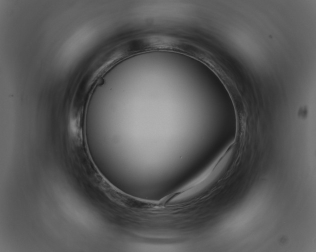 X0000091171198200708231458