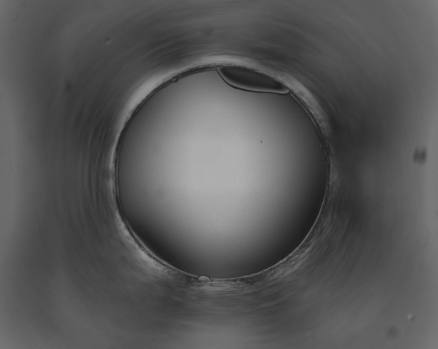 X0000091171199200708231458