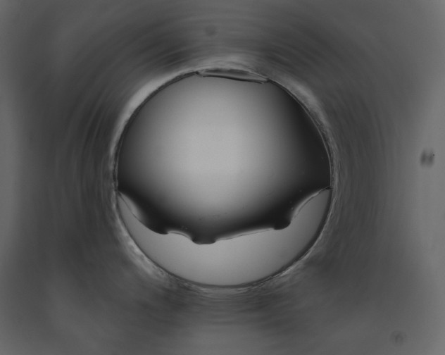 X0000091171200200708231458