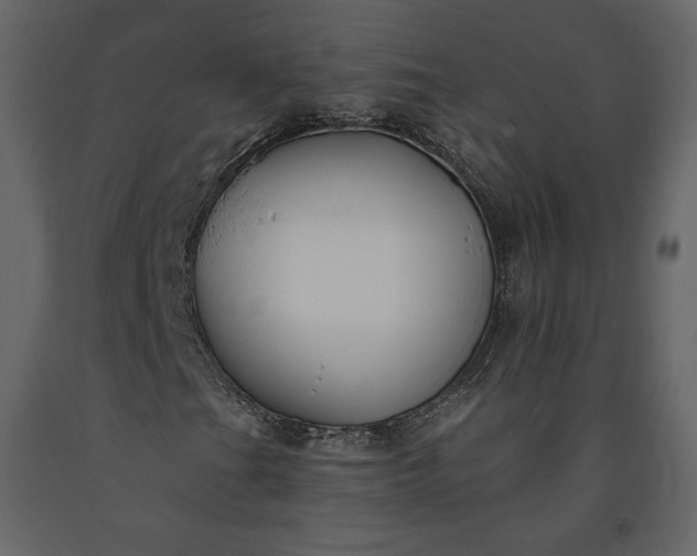 X0000091171201200708231457