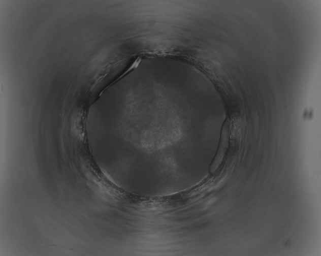 X0000091171202200708231457