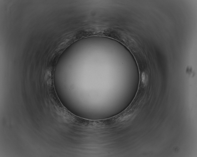 X0000091171203200708231457