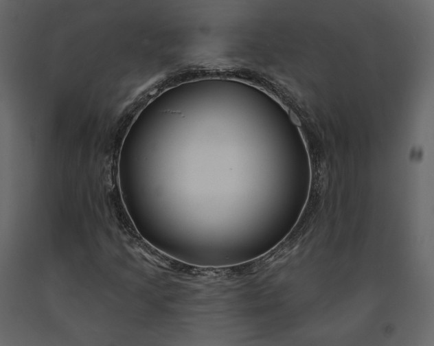 X0000091171205200708231457