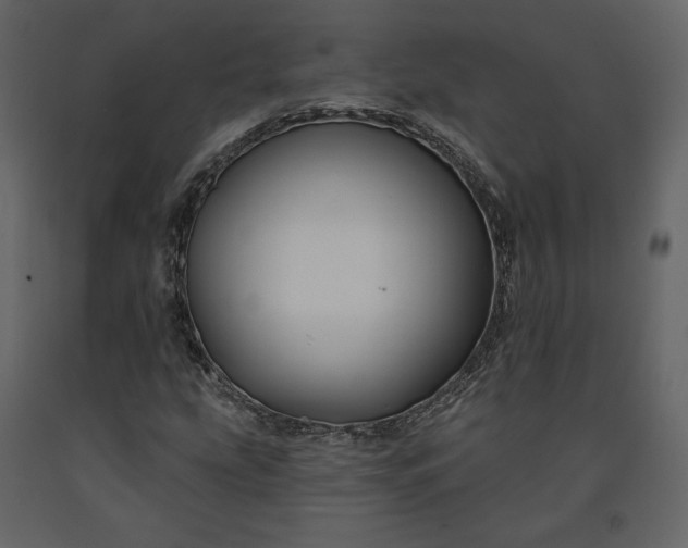 X0000091171207200708231457