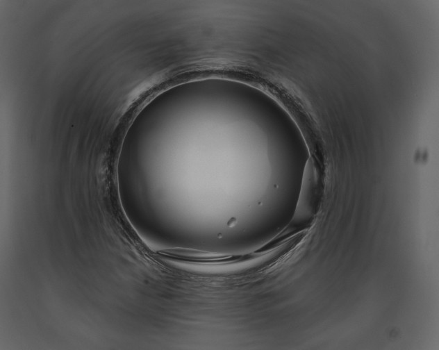 X0000091171210200708231457