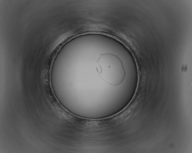 X0000091171211200708231457