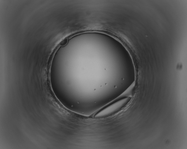 X0000091171212200708231457