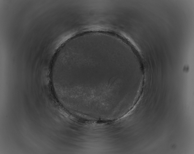 X0000091171213200708231457