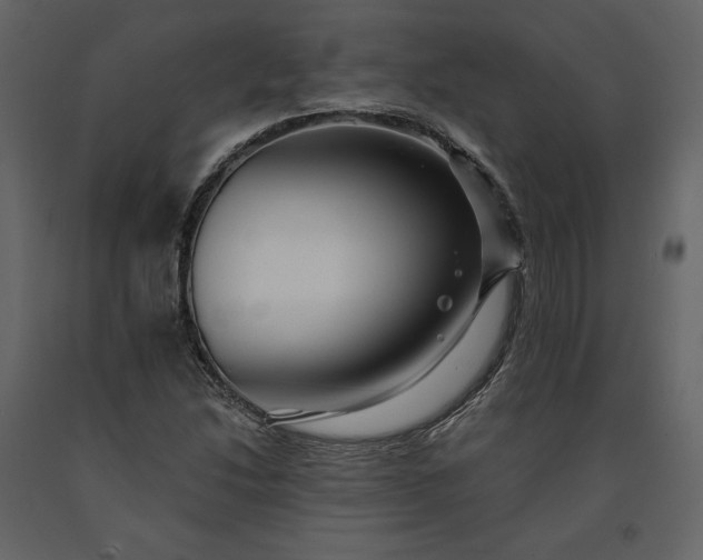 X0000091171214200708231457