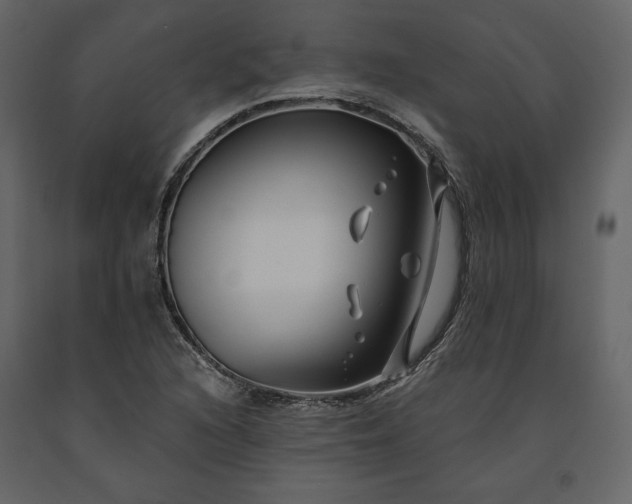 X0000091171216200708231457