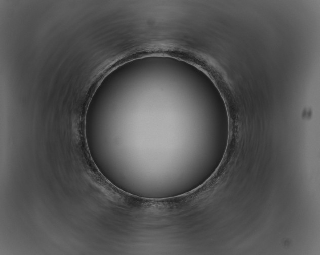 X0000091171217200708231457