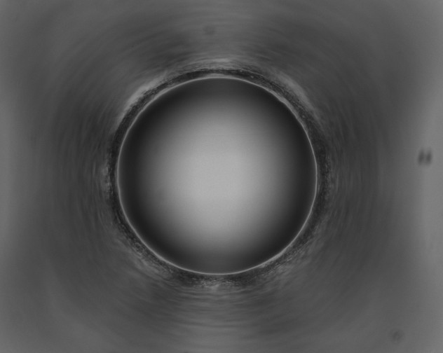 X0000091171218200708231457