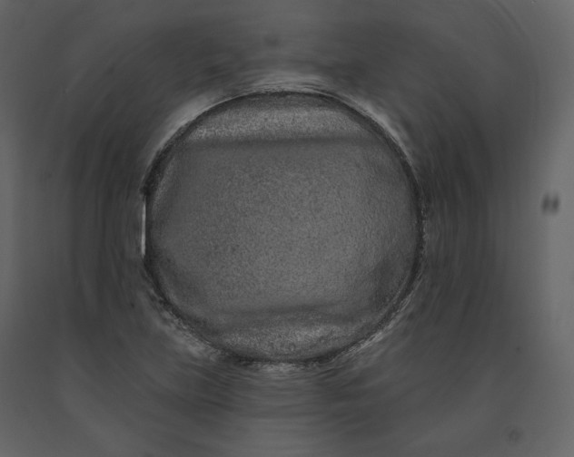 X0000091171219200708231457