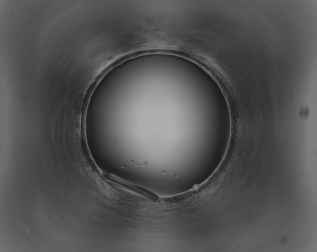 X0000091171220200708231457