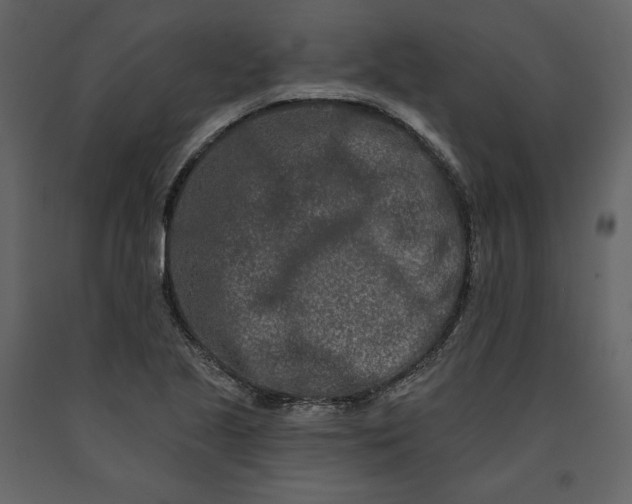 X0000091171221200708231457