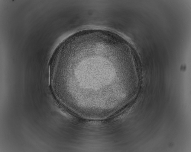 X0000091171223200708231458