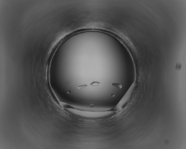 X0000091171224200708231458