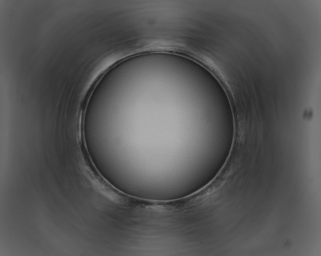 X0000091171227200708231458