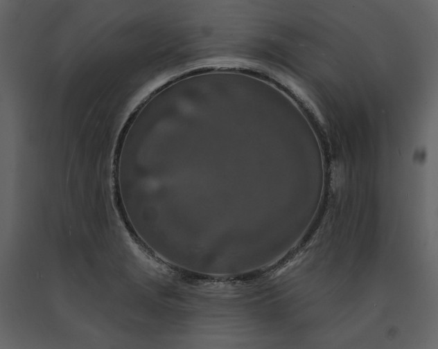 X0000091171229200708231458