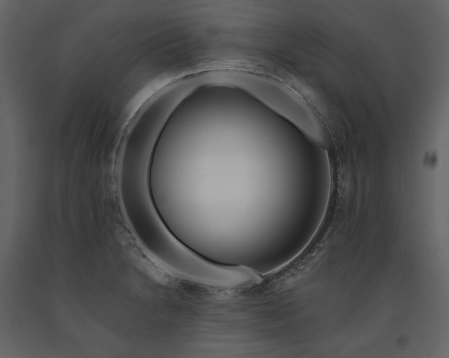 X0000091171230200708231458