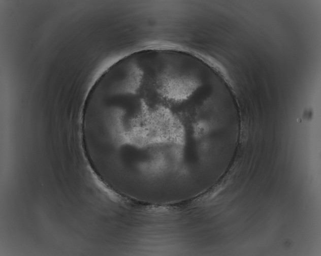 X0000091171231200708231458