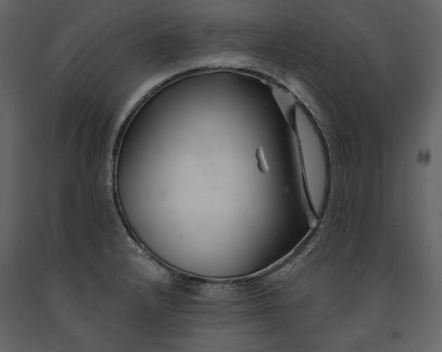 X0000091171232200708231458